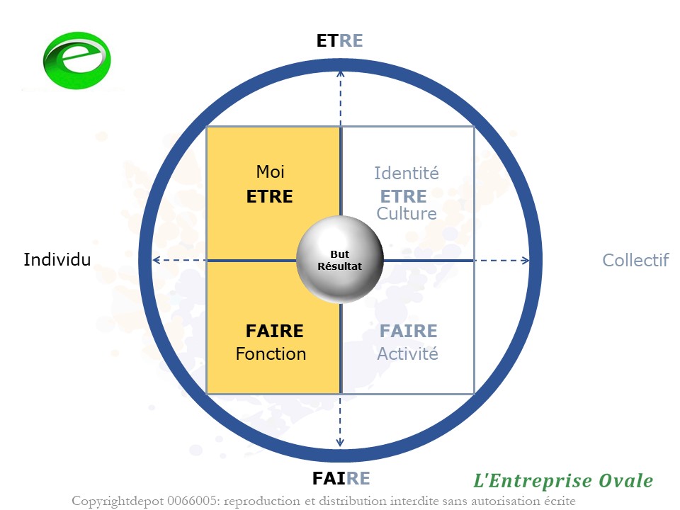 dessin d'une organisation cellulaire